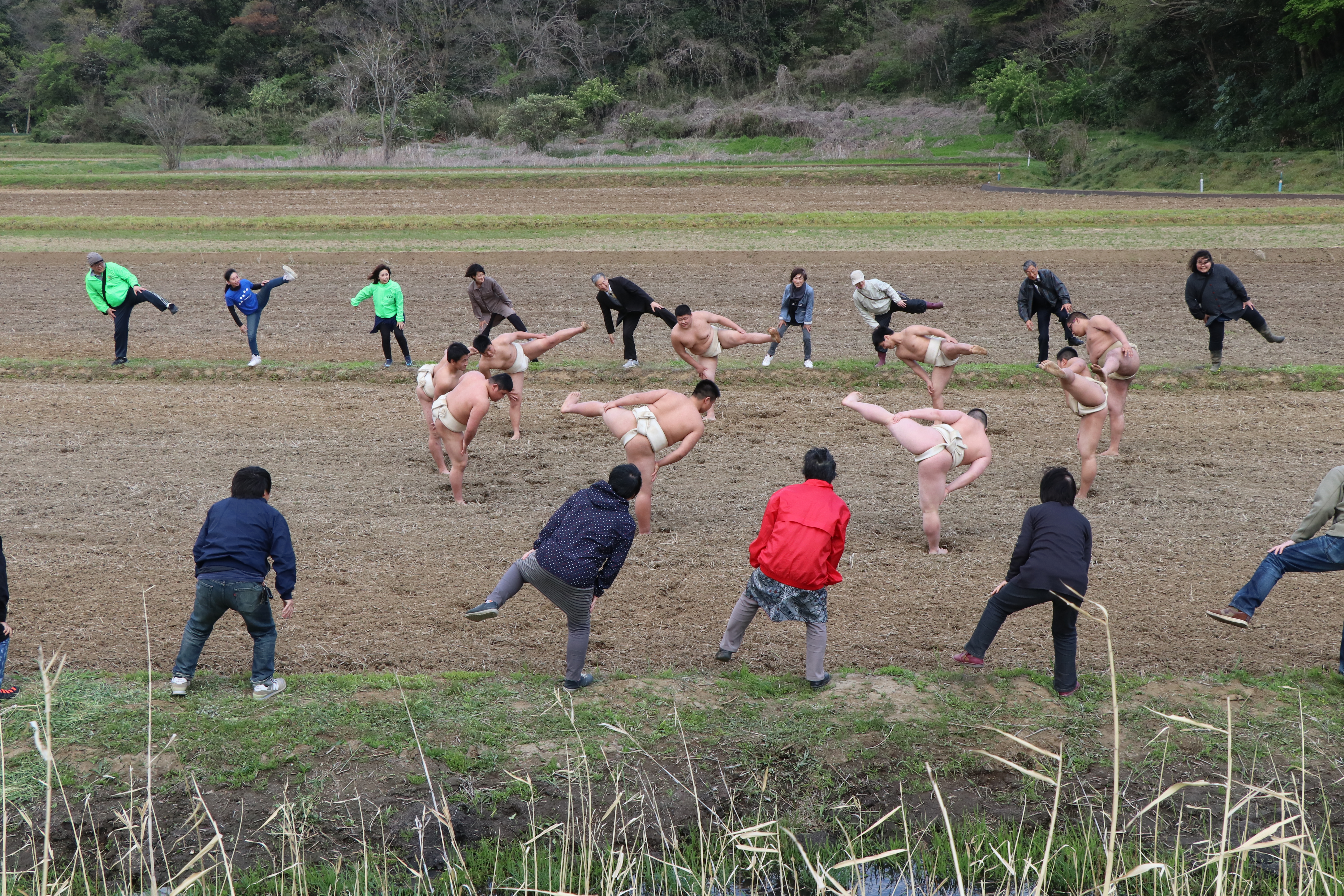 四股踏み