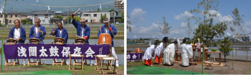 親子稲作神奈川