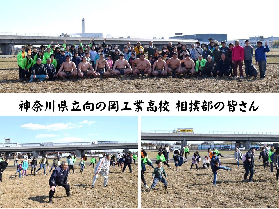 四股踏み神奈川