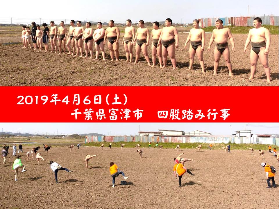 四股踏み千葉